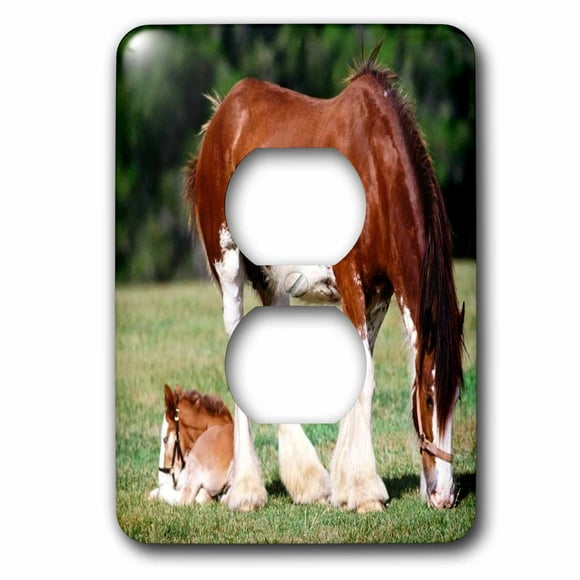3dRose lsp_52652_6 A Horse Grazing Outlet Cover 3dRose lsp_52652_6 A Horse Grazing Outlet Cover